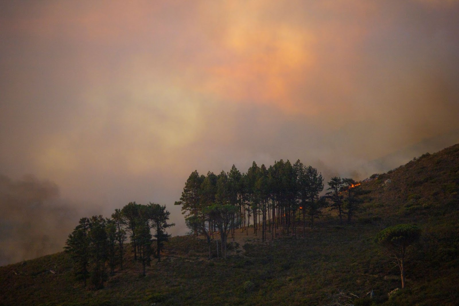 wildfire-smoke-on-wooded-hillside