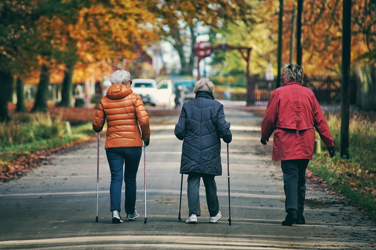 3-older-woman-enjoying-a-fall-hike