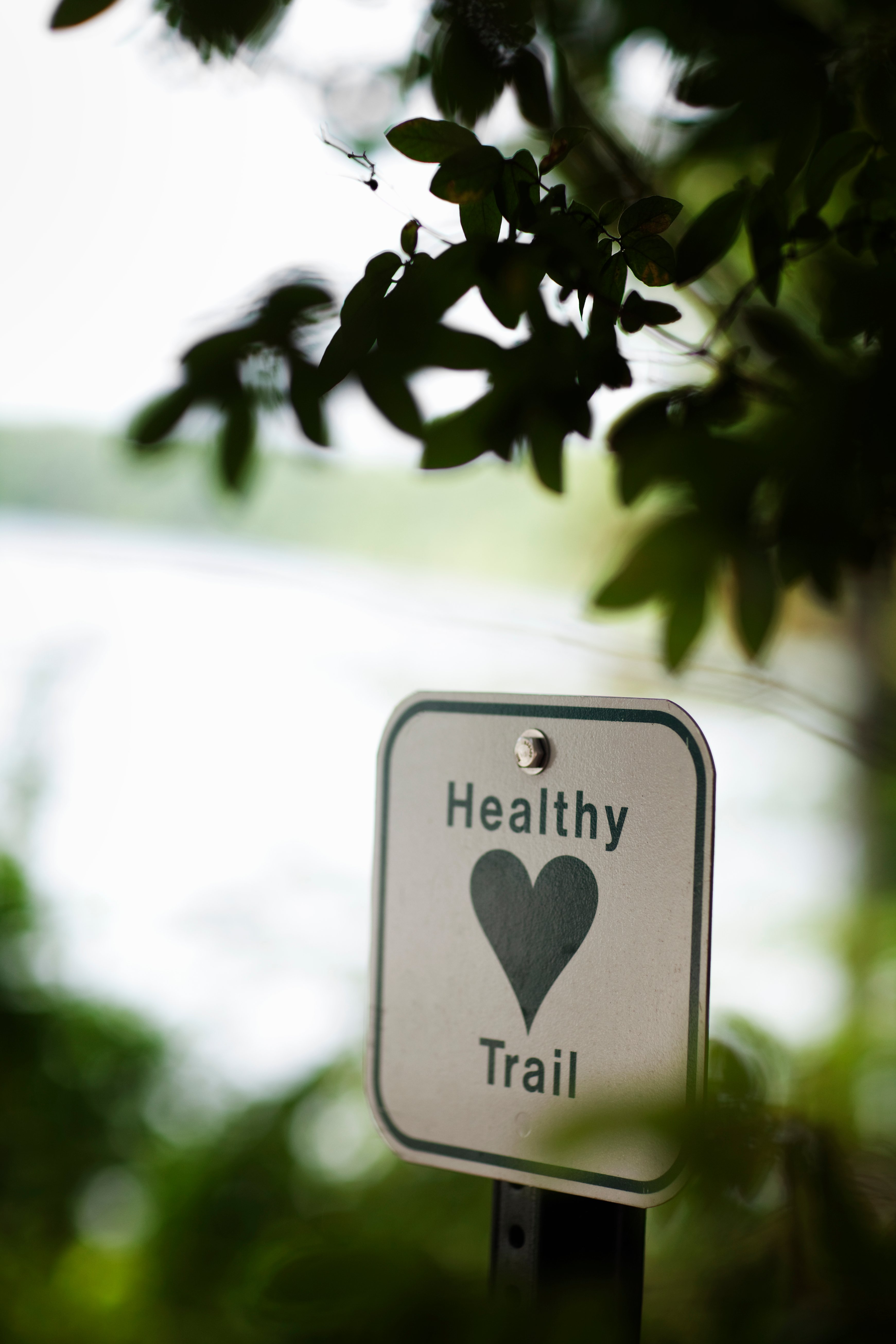 A healthy heart trail sign