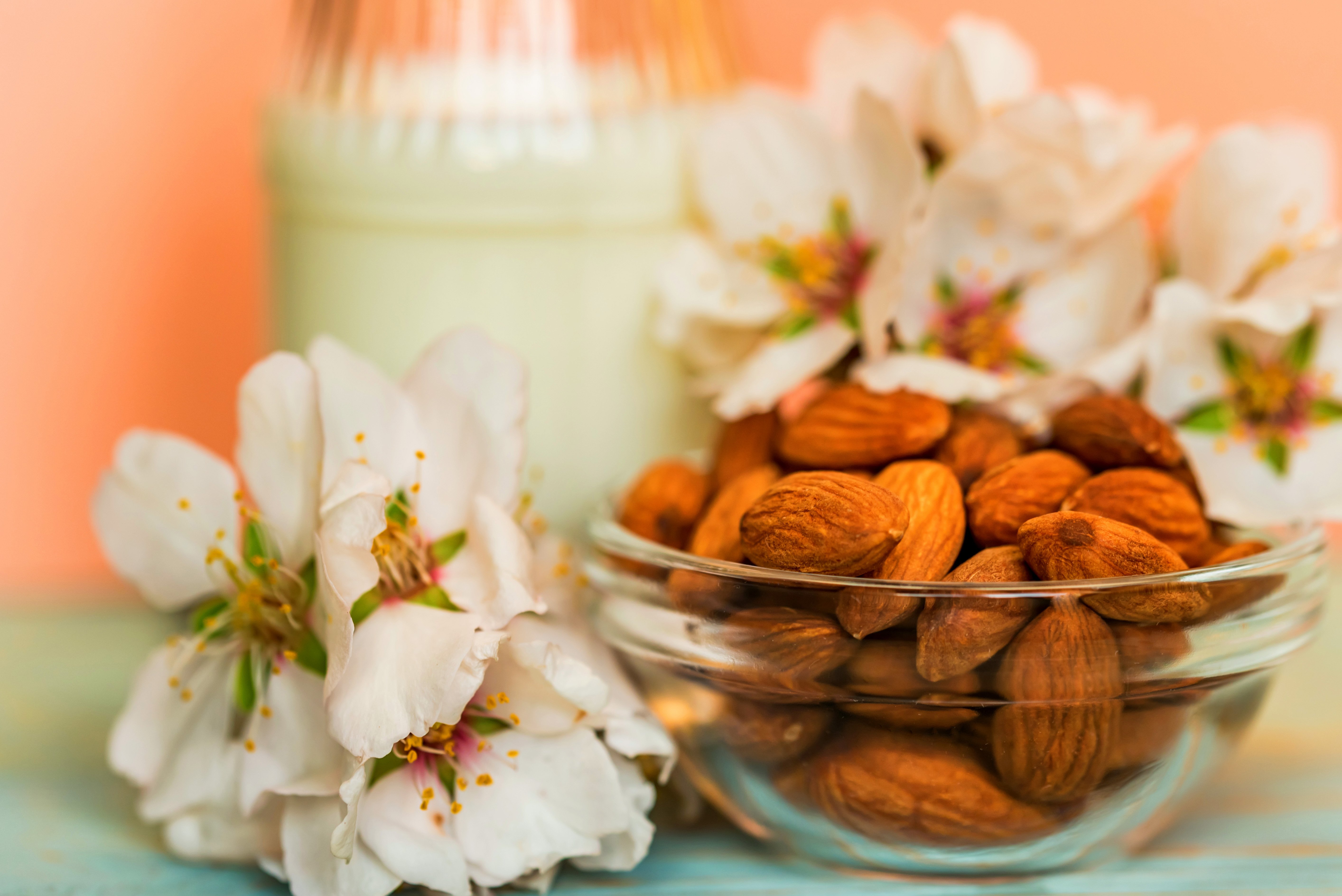 almond-with-jar-of-almond-milk-and-white-flowers-U3ELYWF