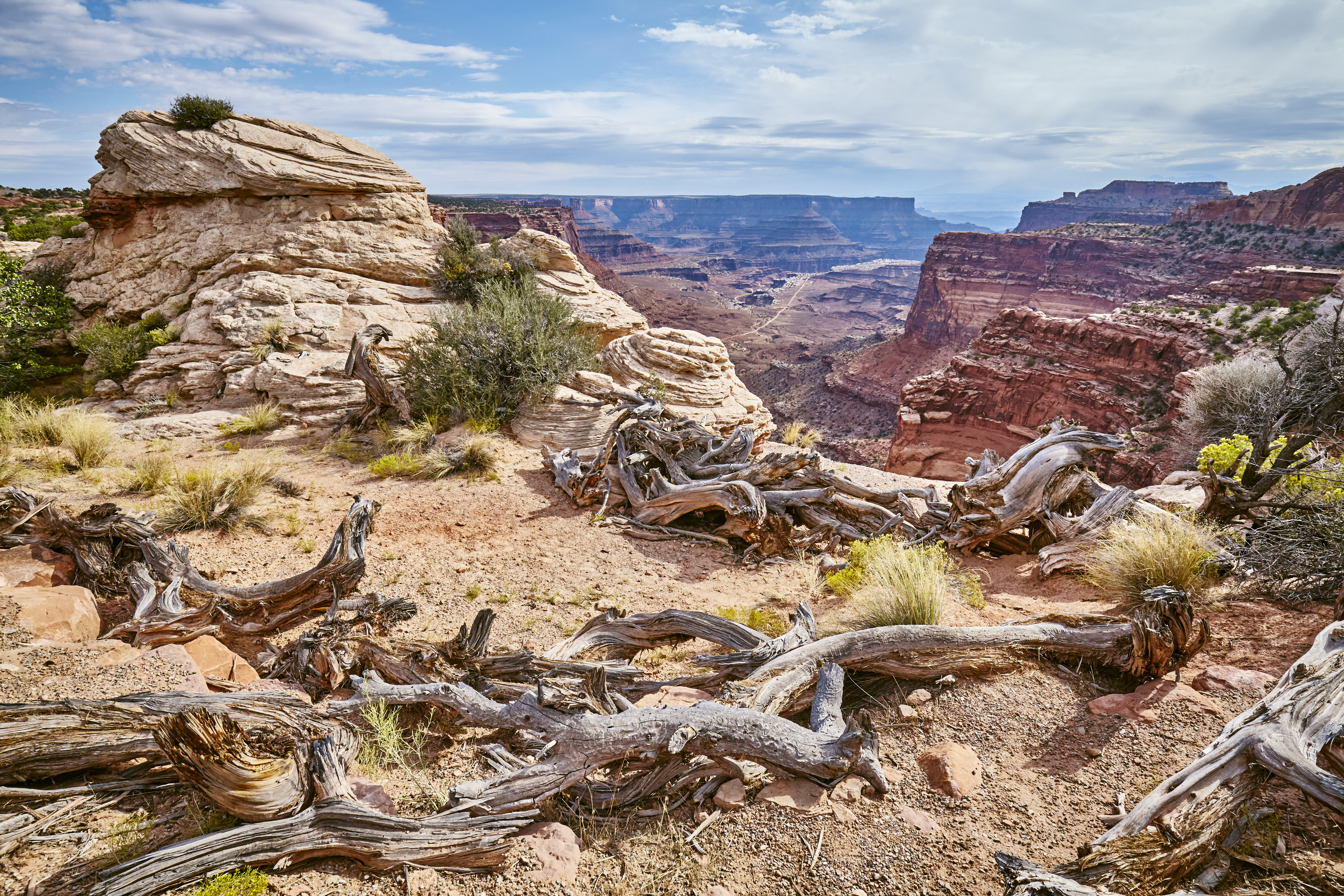 canyonlands-national-park-utah-usa-A8X6F2S