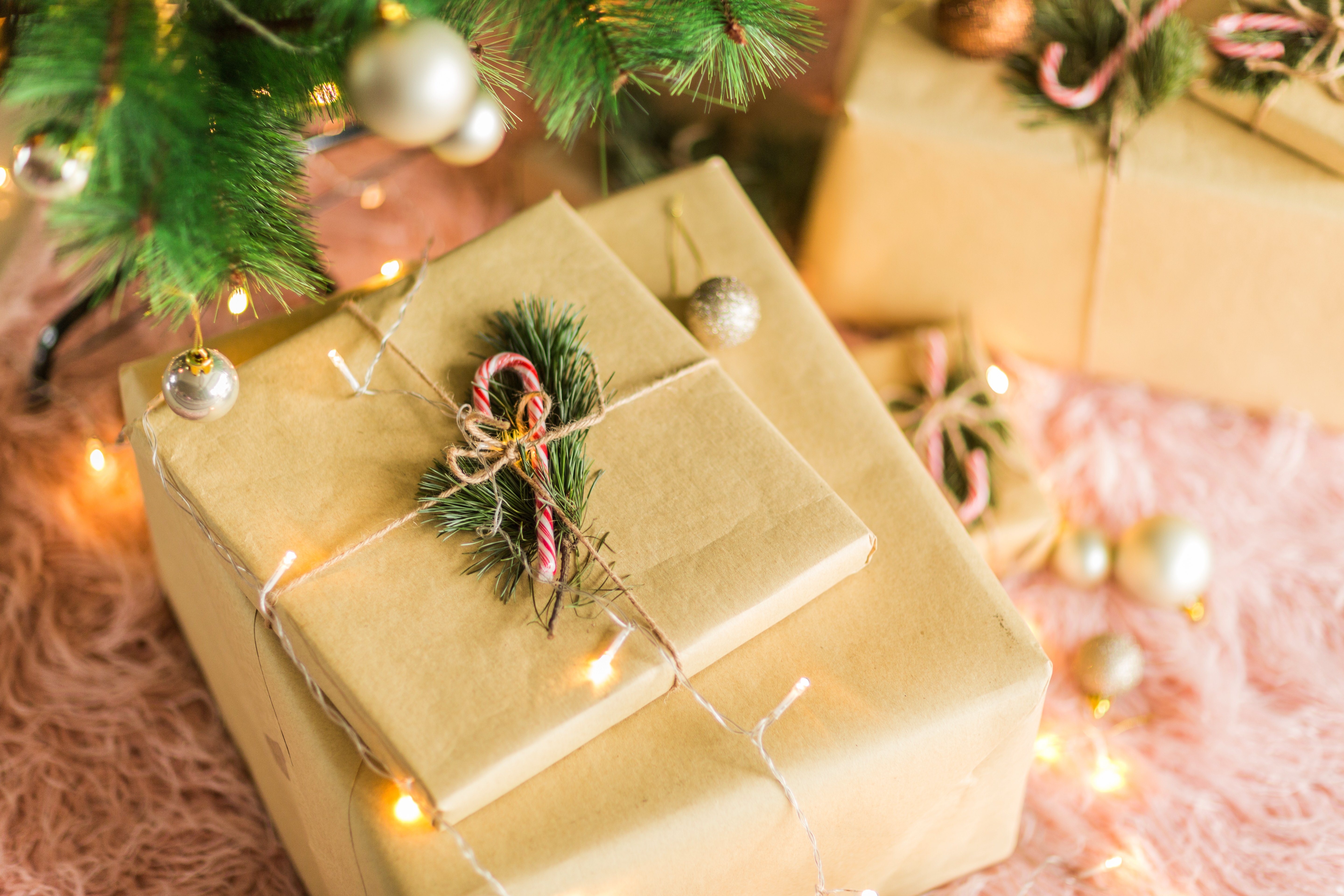 Gifts under the tree
