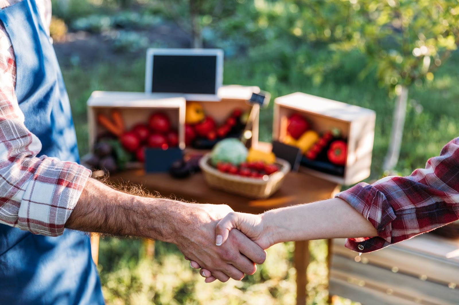 handshake-at-the-farmers-market