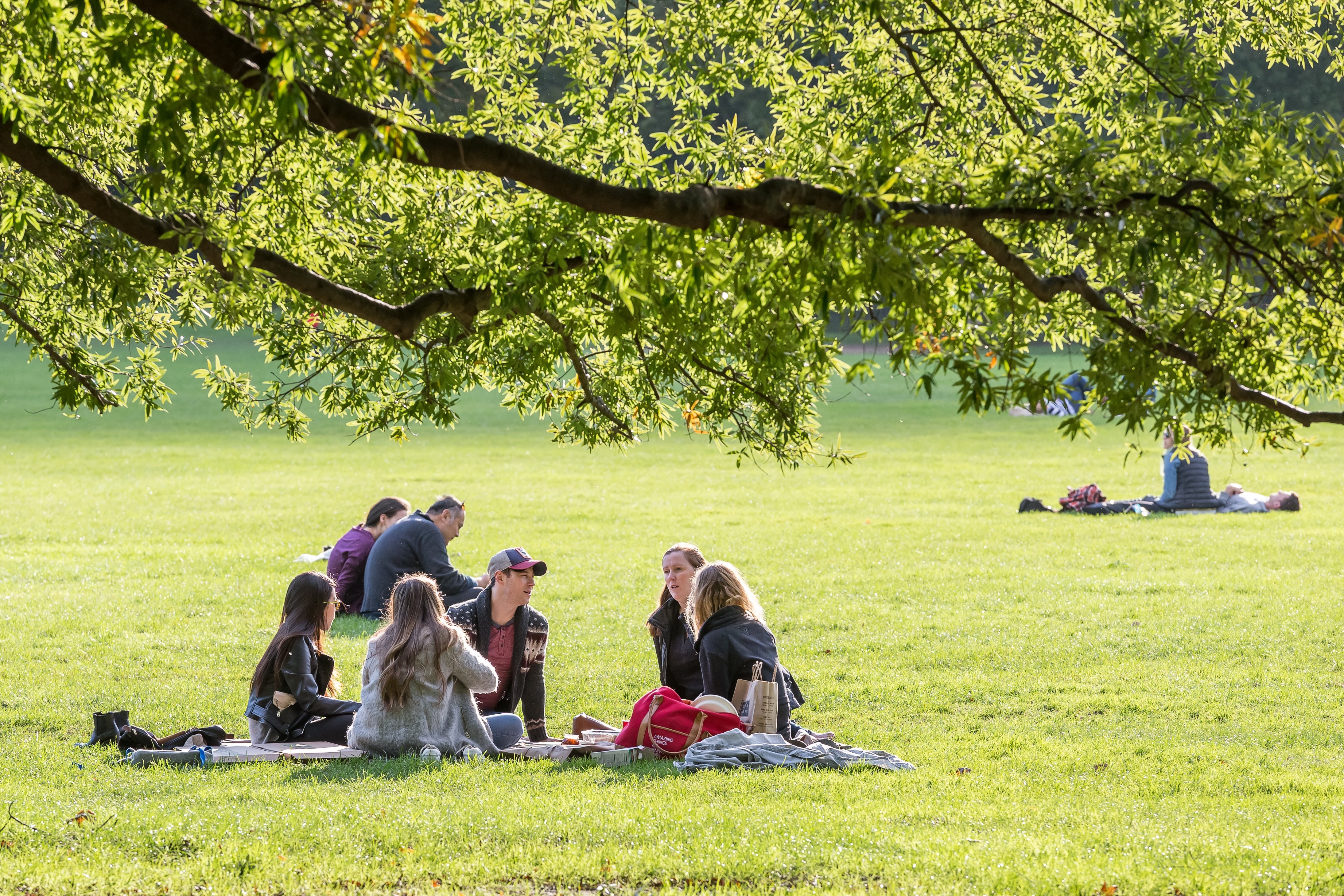 group-of-friends-having -picnic-in-park