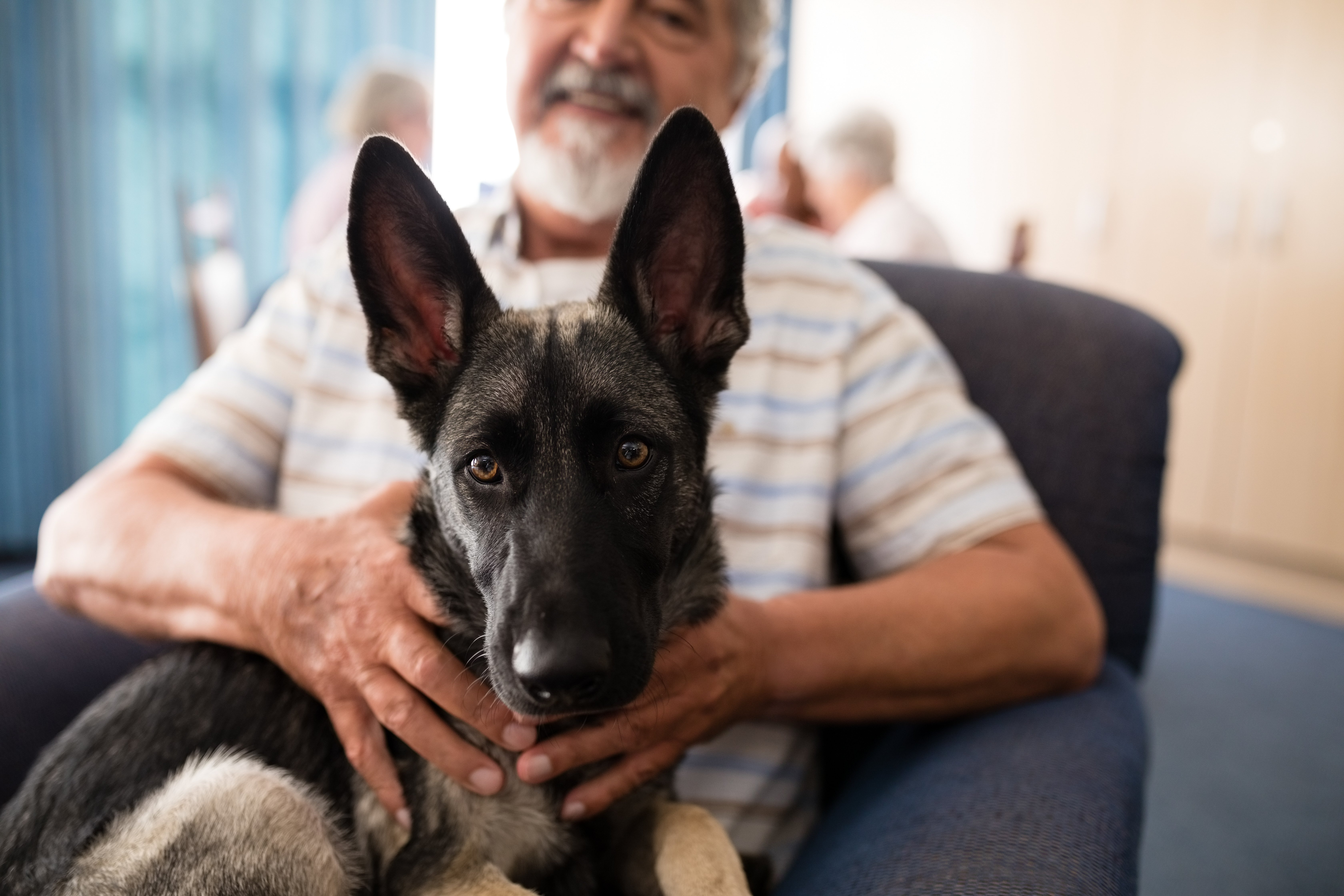 midsection-of-senior-man-holding-puppy-while-sitti-9GDZMXL