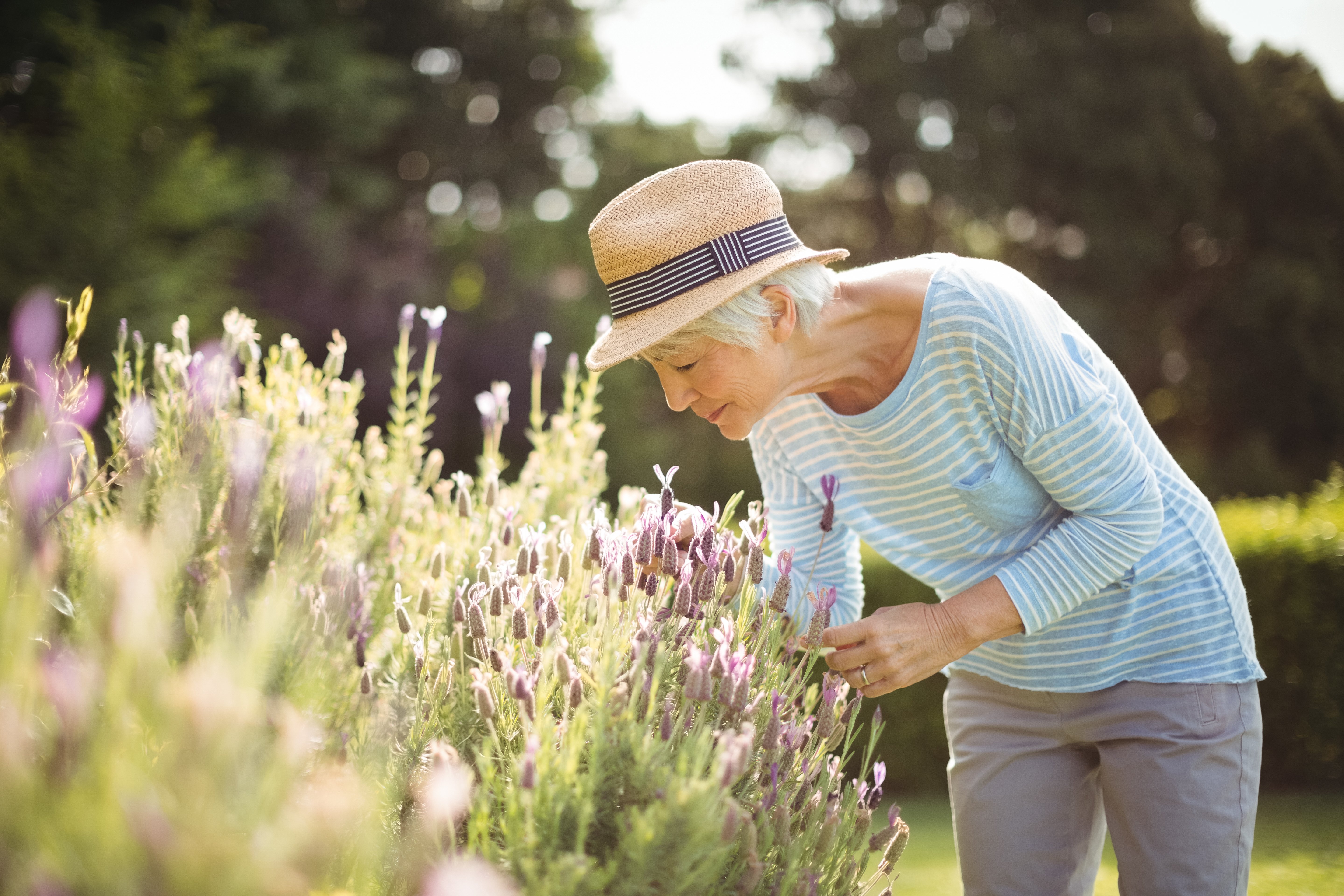 senior-woman-smelling-flowers-GFY2RJH