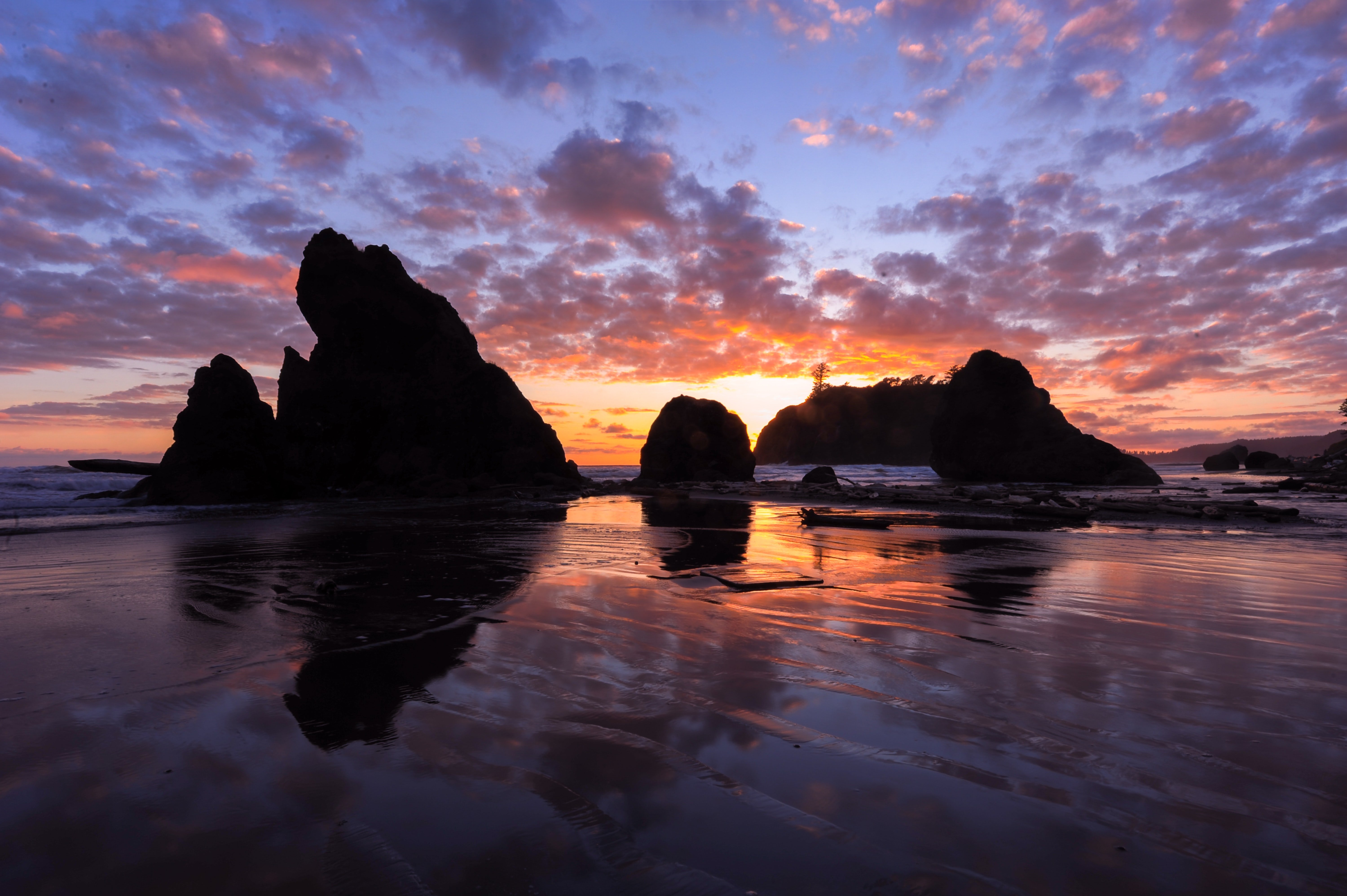 olympic-national-park-coastal-sunset